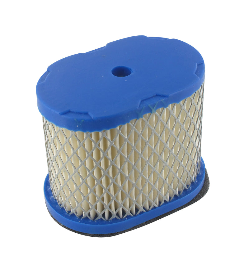 4100245 Luftfilter für BRIGGS & STRATTON 5 5 & 6 5 PS